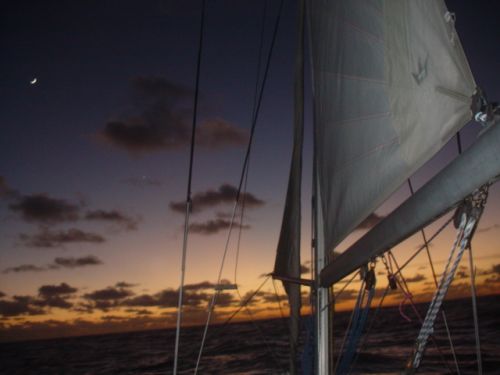 It seems that the trade winds are here. The winds are now pretty much all the time from NE. The sea is pretty rough but we are feeling fine: our bodies seem…