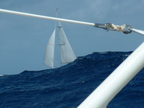 Big waves are advising us to turn back and go around via the Cape Horn ... (Caribbean Sea)
