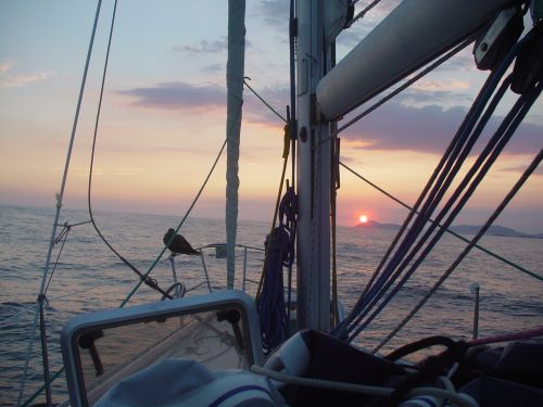 Twice, the FoLaLieR drives through 2 patches of very bright water. It's pitch dark. Is it un uncharted reef ? No, it's in fact a bunch of sleeping fishes…