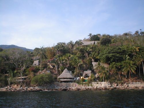 Softness of the Yelapa gum. (Yelapa, Mexico)