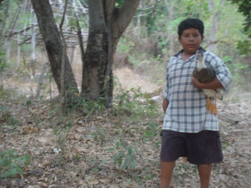 Good time in Yelapa. We are back here to get Coconut oil supposed to be the 