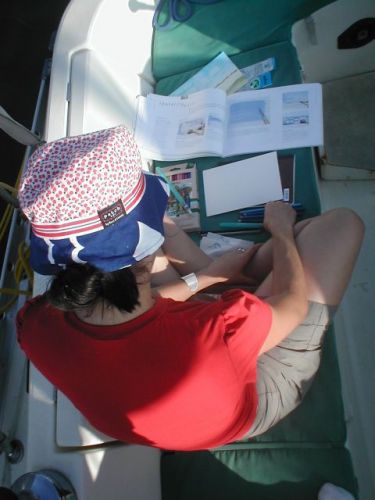 Painting time. Aquarelle for Marcy and soon, antifooling for the boat. (Ensenada, Mexico)