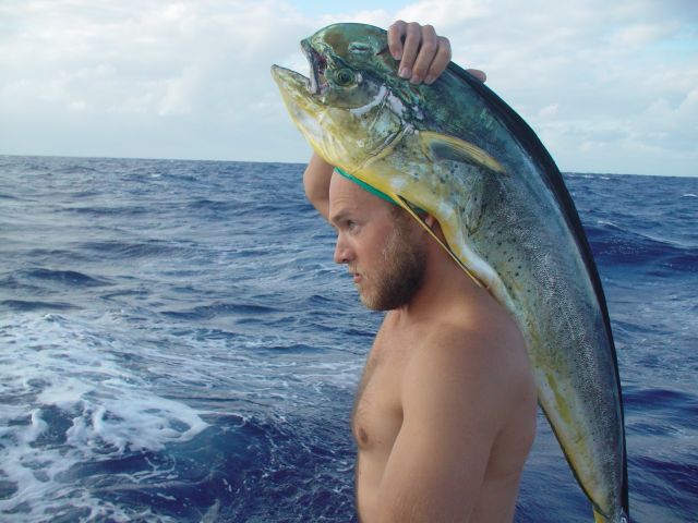 Raymonde, la dorade coryphene