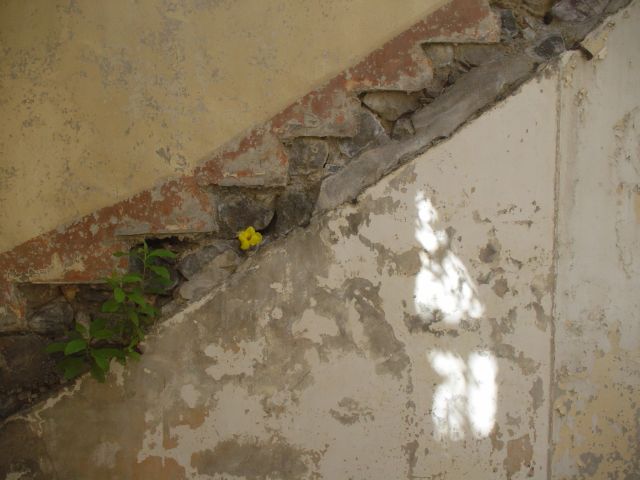 Le marin, Martinique