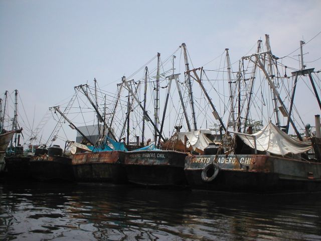 Sailing Puerto Madero