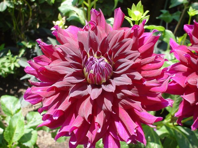 Spring in Costa Rica