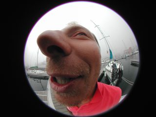 william, photo, folalier