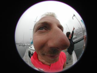 william, photo, folalier